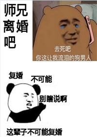 《师兄,离婚吧》