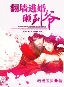 《翻墙逃婚,砸到爷》