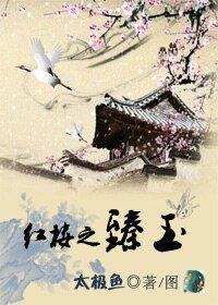 （红楼同人）红楼之臻玉