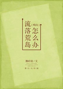 《流落荒岛怎么办?》