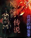凌神传说