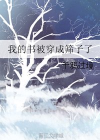 《我的书被穿成筛子了》