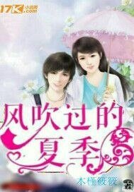 《风吹过的夏季》