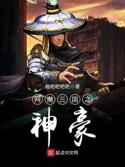 《网游三国之神豪》