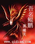 《吾名鲲鹏》