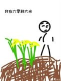 《我在六零種大米》