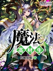《魔法高材生/骑士向北法师向南》