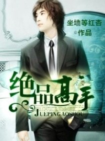《我的合租情人/绝品高手》
