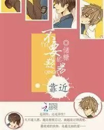 《不要轻易靠近》