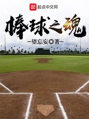 《棒球之魂》