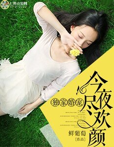 《獨家婚寵:今夜盡歡顏》