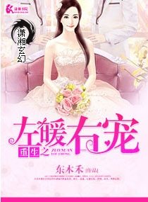 《重生之左暖右爱》
