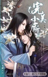 《完美小厮》