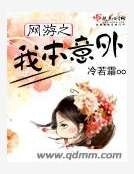 《网游之我本意外》