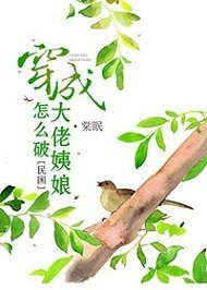 《穿成大佬姨娘怎么破》