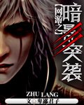 《网游之暗影突袭》
