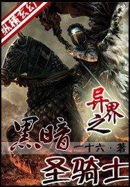 《异界之暗黑圣骑士》