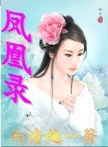 《凤凰录》