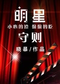 《明星守则(娱乐圈)》