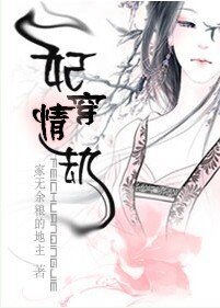 《妃穿情劫》