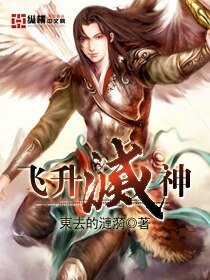 《飞升灭神》
