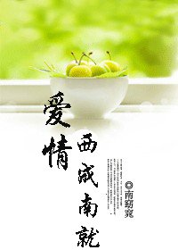 《爱情 西成南就》