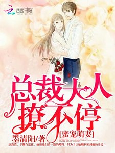 《蜜宠萌妻:总裁大人,撩不停!》