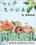 奇女子：乞儿公主
