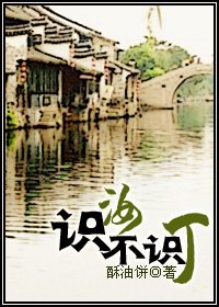 《识汝不识丁》