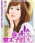 皇太子的圈宠