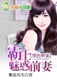 《黑色帝宠:霸上魅惑前妻》