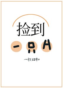 《捡到了一只A》