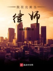 《我在北美当律师》