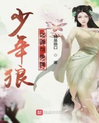 《少年狼之谁与争锋》