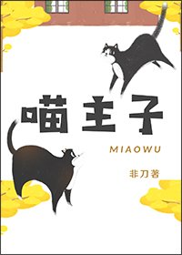 《喵主子》