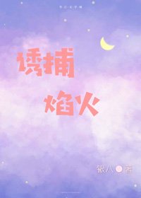 《诱捕焰火》