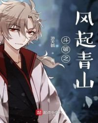 《斗破之风起青山》