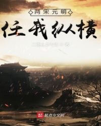 《两宋元明任我纵横》