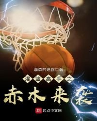 《灌篮高手之赤木来袭》