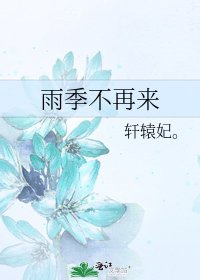 《雨季不再來》