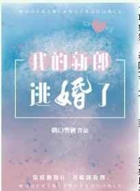 《我的新郎逃婚了》