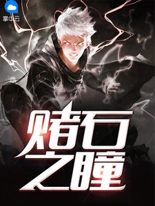 《赌石之瞳》