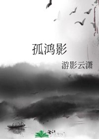 《孤鸿影》