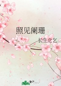 《照见阑珊》