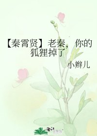 《【秦霄賢】老秦,你的狐狸掉了》