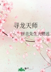 《寻龙天师》