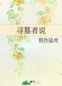 《寻墓者说》