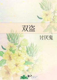 《双盗》