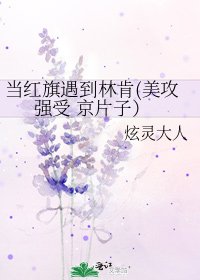 《当红旗遇到林肯(美攻强受 京片子)》