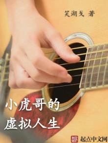 《小虎哥的虚拟人生》